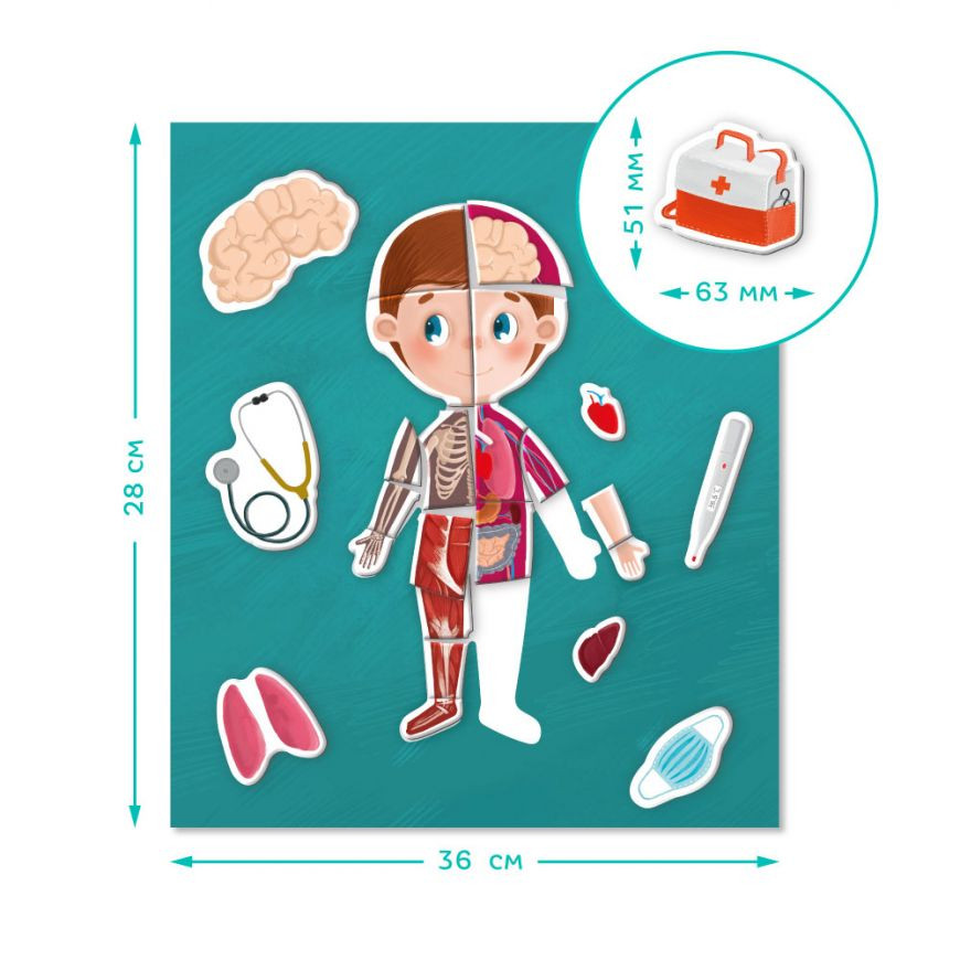 Настільна гра DoDo Toys Людське тіло Різнокольоровий (SR-113-N-404) - фото 3 Настільна гра DoDo Toys Людське тіло Різнокольоровий (SR-113-N-404) - фото 3