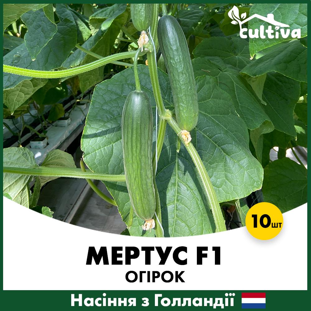 Семена огурца Rijk Zwaan Гладкий Мертус F1 10 шт. (R5101510)