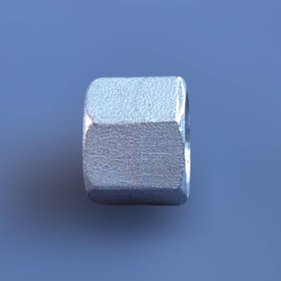 Заглушка муфтова шестигранна DN15 BSPP н/ж сталь AISI304 Class-150 внутрішня різьба 1/2" (29203160) - фото 6 Заглушка муфтова шестигранна DN15 BSPP н/ж сталь AISI304 Class-150 внутрішня різьба 1/2" (29203160) - фото 6