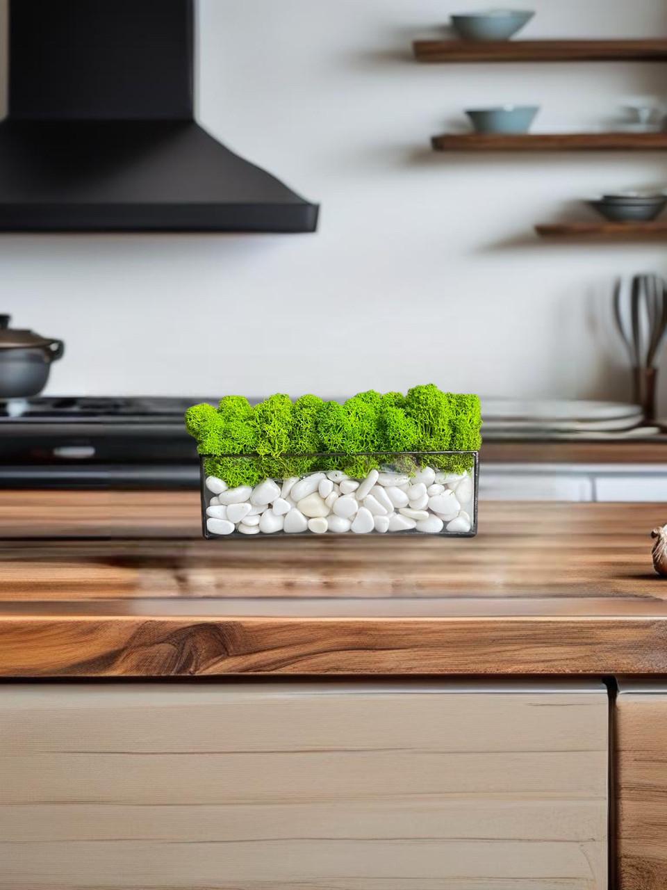 Мосариум с мхом 40 см (2571021172)