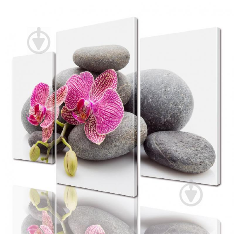 Модульная картина ArtStar цветы Орхидея ADFL0038 размер 120 х 180 см