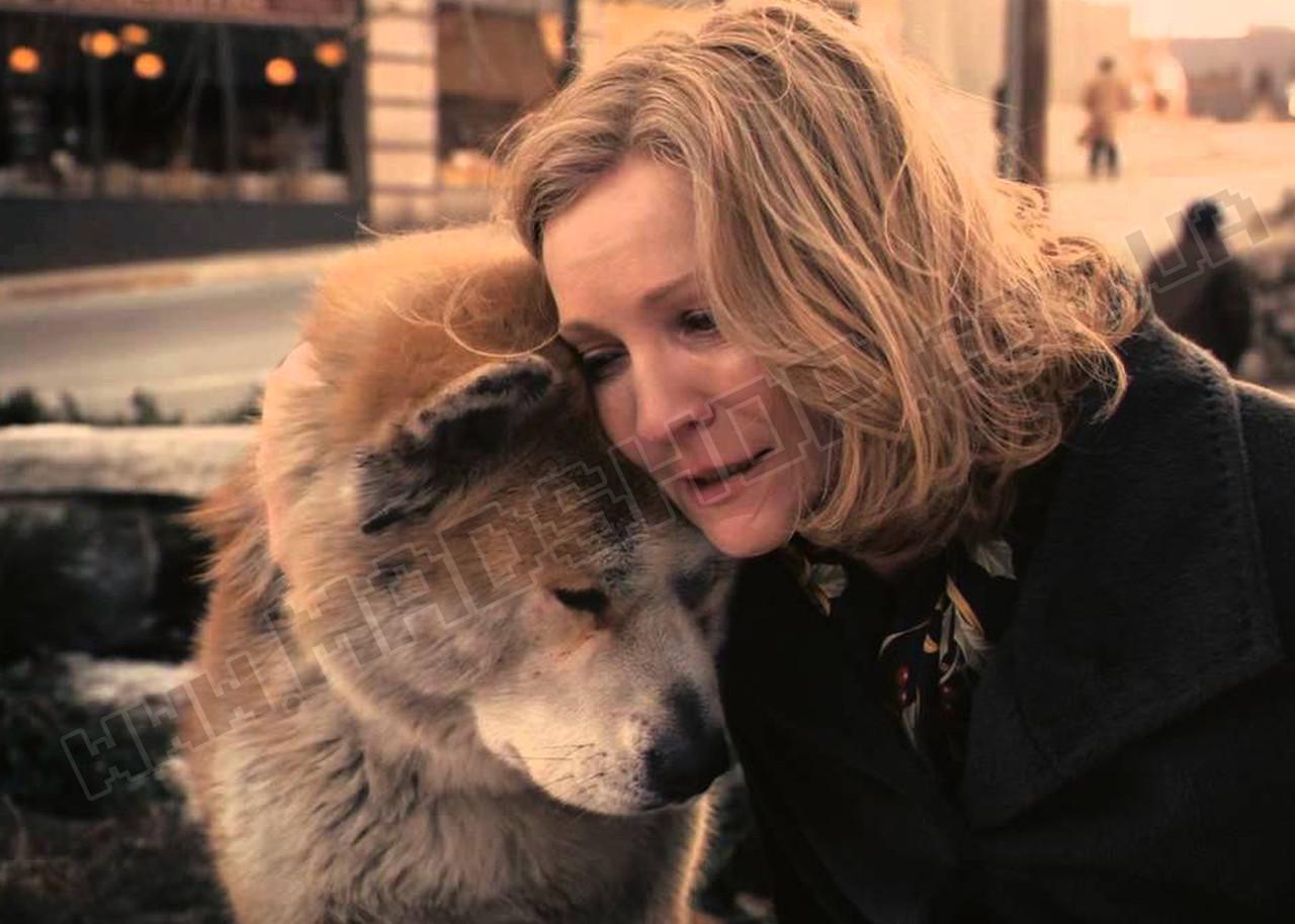 Картина Хатико Грустный пес (DS570)