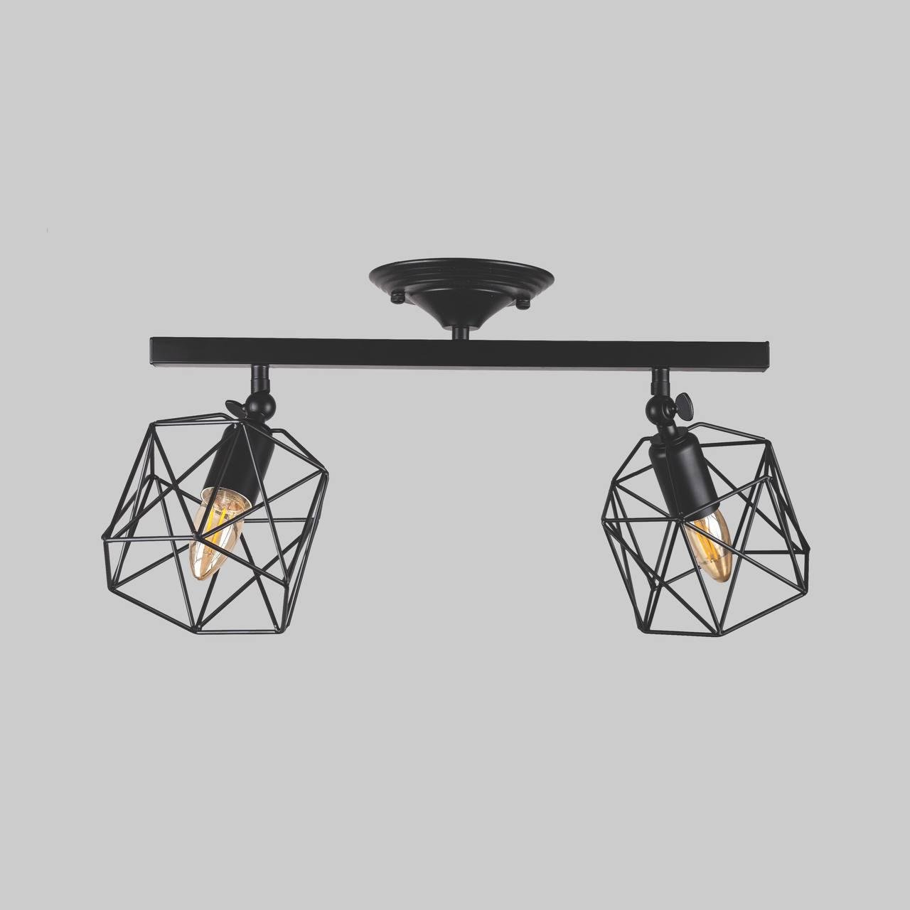 Люстра потолочная с двумя черными плафонами (56-XPR101F-2 BK)