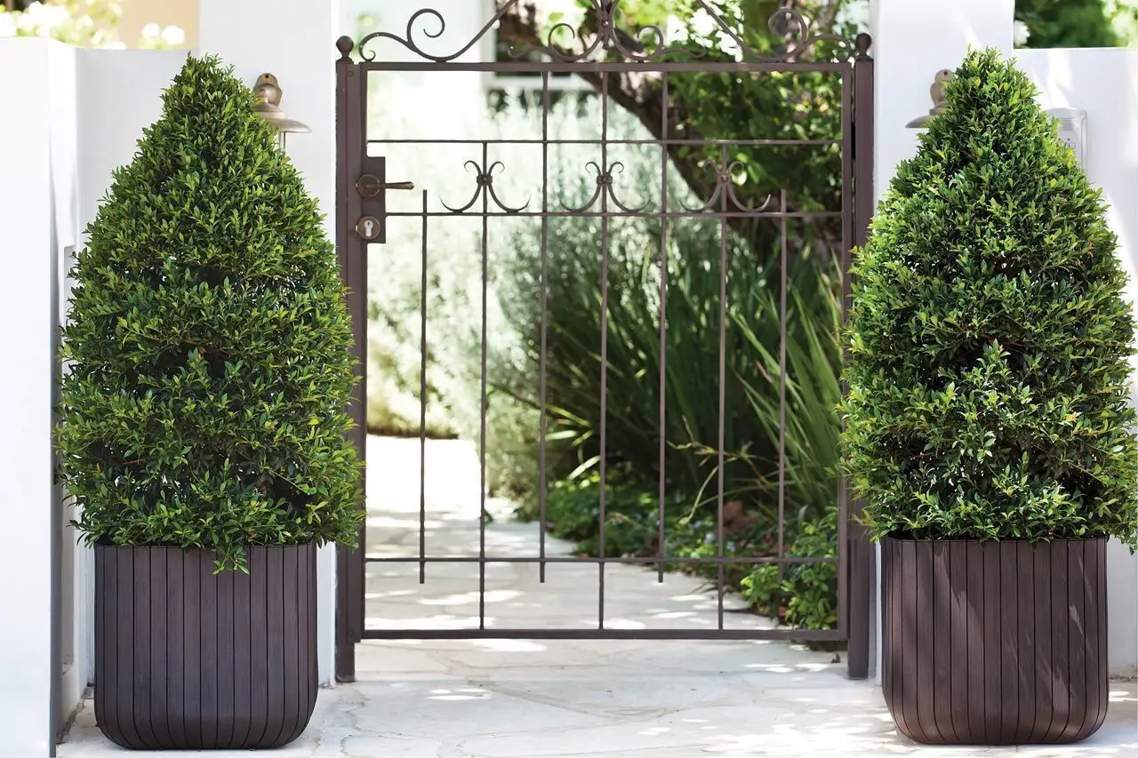 Горшок для уличных растений Keter Cube Planter квадратный L (CNT00012158) - фото 8