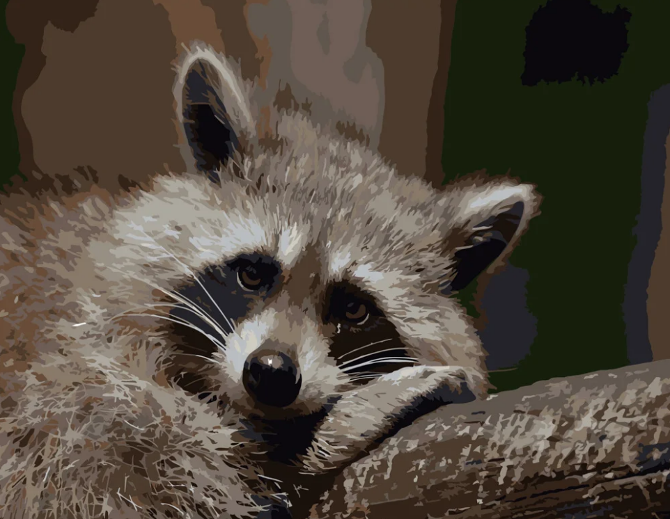 Картина по номерам Strateg Печальный енотик 40x50 см (DY087) Картина по номерам Strateg Печальный енотик 40x50 см (DY087)