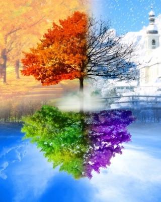Алмазна мозаика ColorArt Время года 40х50 см (SP038)
