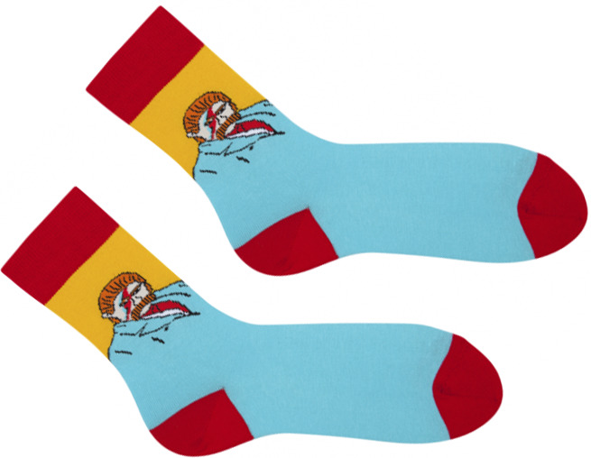 Носки Sammy Icon Шевченко Девид Боуи 36-40 - фото 2 Носки Sammy Icon Шевченко Девид Боуи 36-40 - фото 2