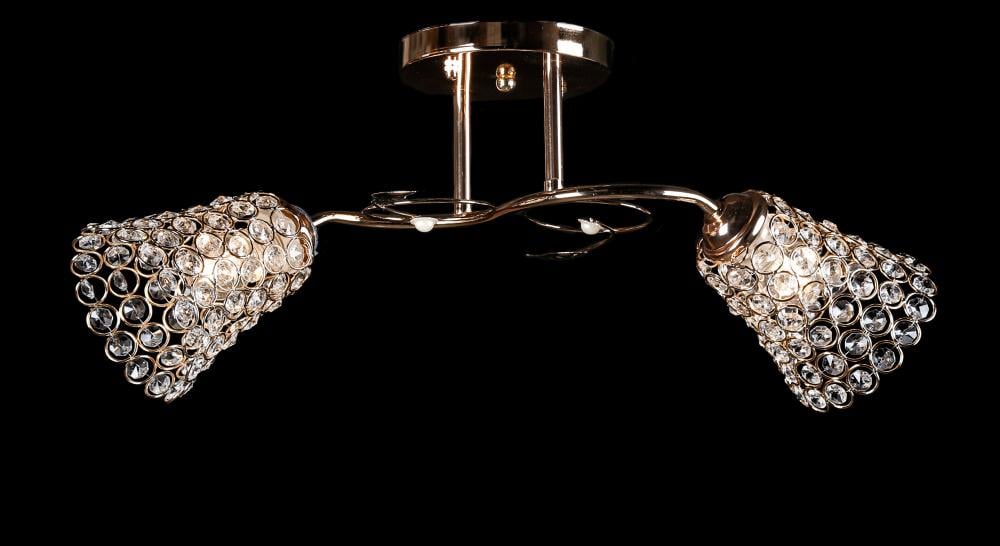 Люстра с плафонами Ray L5303A/2 FGD (IR005991)