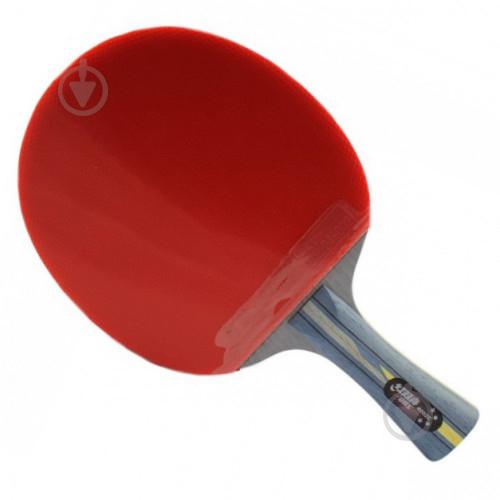 Ракетка DHS R4002C - фото 2