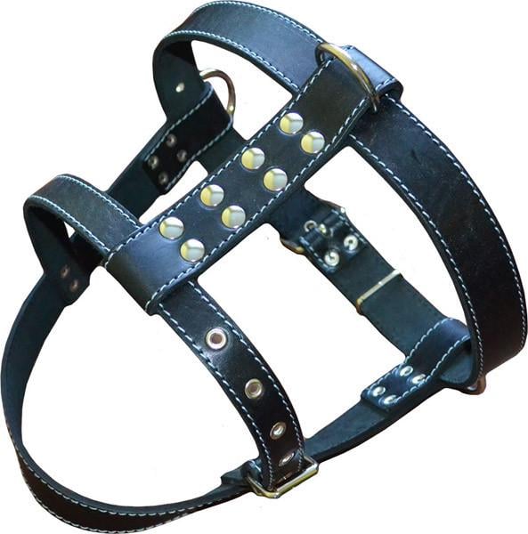Шлея для овчарки Черный (ф104)