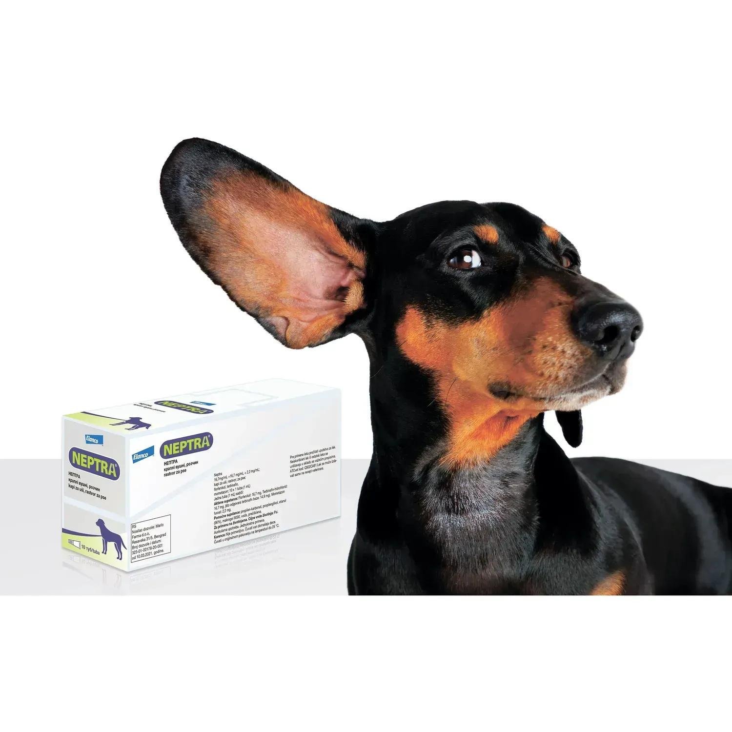 Капли ушные Нептра Neptra для лечения наружного отита 1 мл 1 шт. - фото 2 Капли ушные Нептра Neptra для лечения наружного отита 1 мл 1 шт. - фото 2