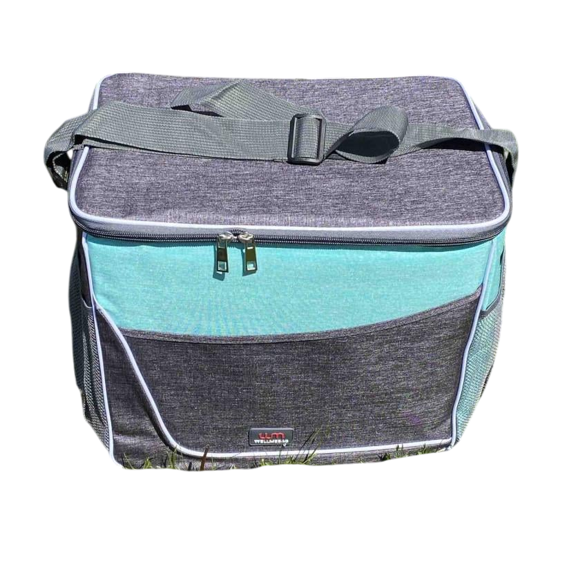 Термосумка Stenson WW01351 36x26x32 см Серый с бирюзовым (1847046008)
