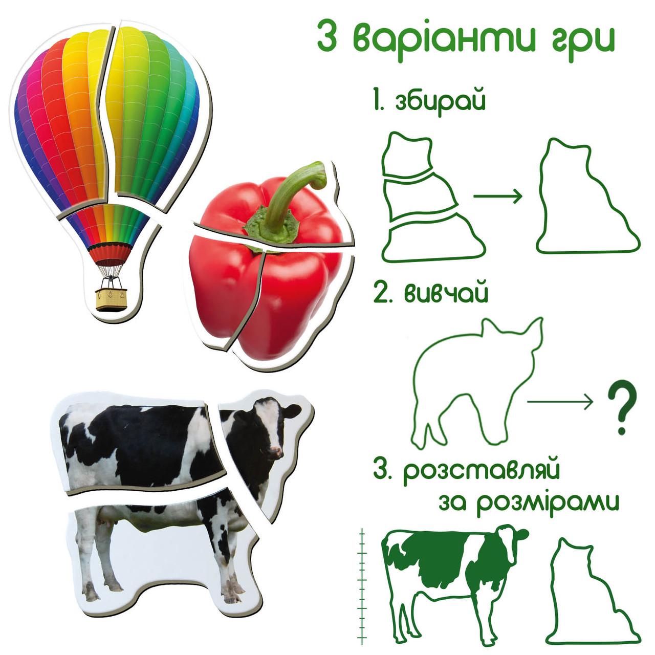 Подарунковий набір магнітних пазлів Magdum 54 шт. (ML4031-62 EN) - фото 7 Подарунковий набір магнітних пазлів Magdum 54 шт. (ML4031-62 EN) - фото 7