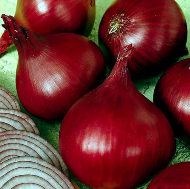 Семена лука Ред Барон ТД Гекса-Украина 01-16-113 100 шт. (IR02360)