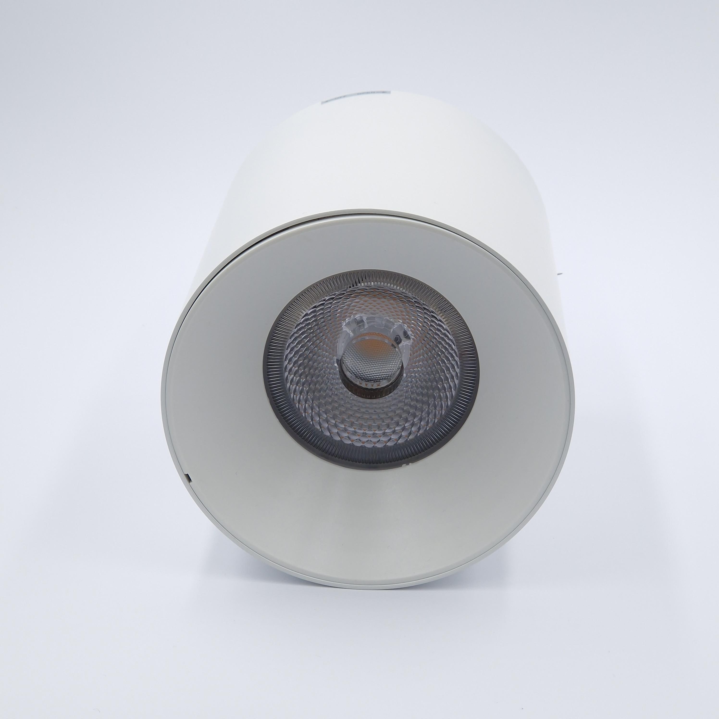 Светильник накладной Light Club 30 Вт 3000 К IP20 Белый (WL-521c-30-3-W) - фото 5 Светильник накладной Light Club 30 Вт 3000 К IP20 Белый (WL-521c-30-3-W) - фото 5