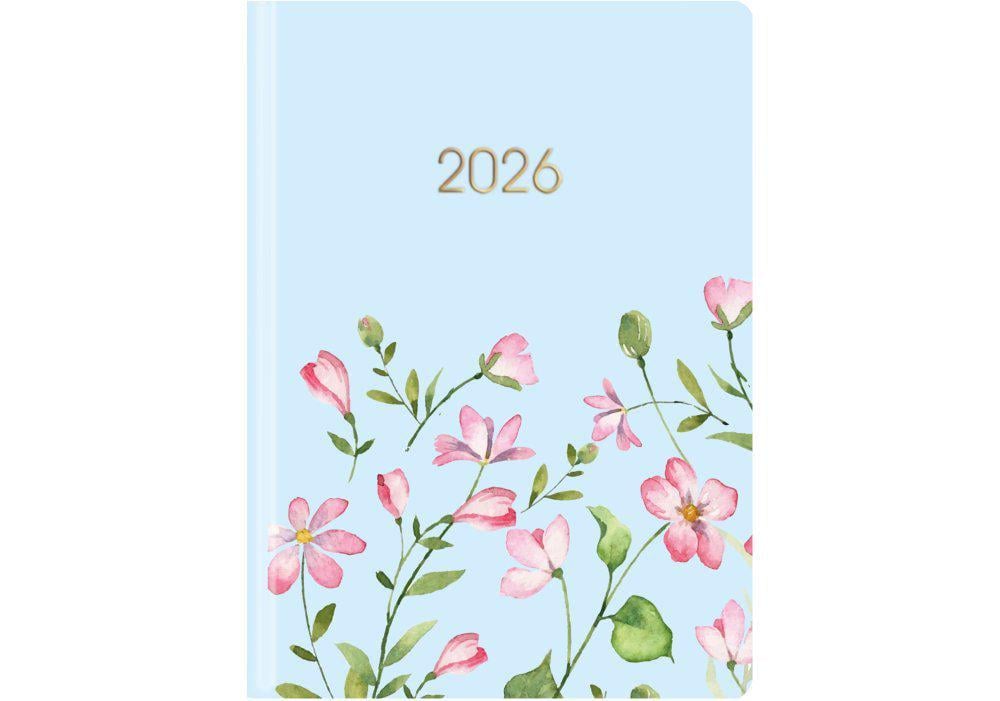 Дневник датированный 2026 Economix Color A5 336 стр. Разноцветный (E21839)