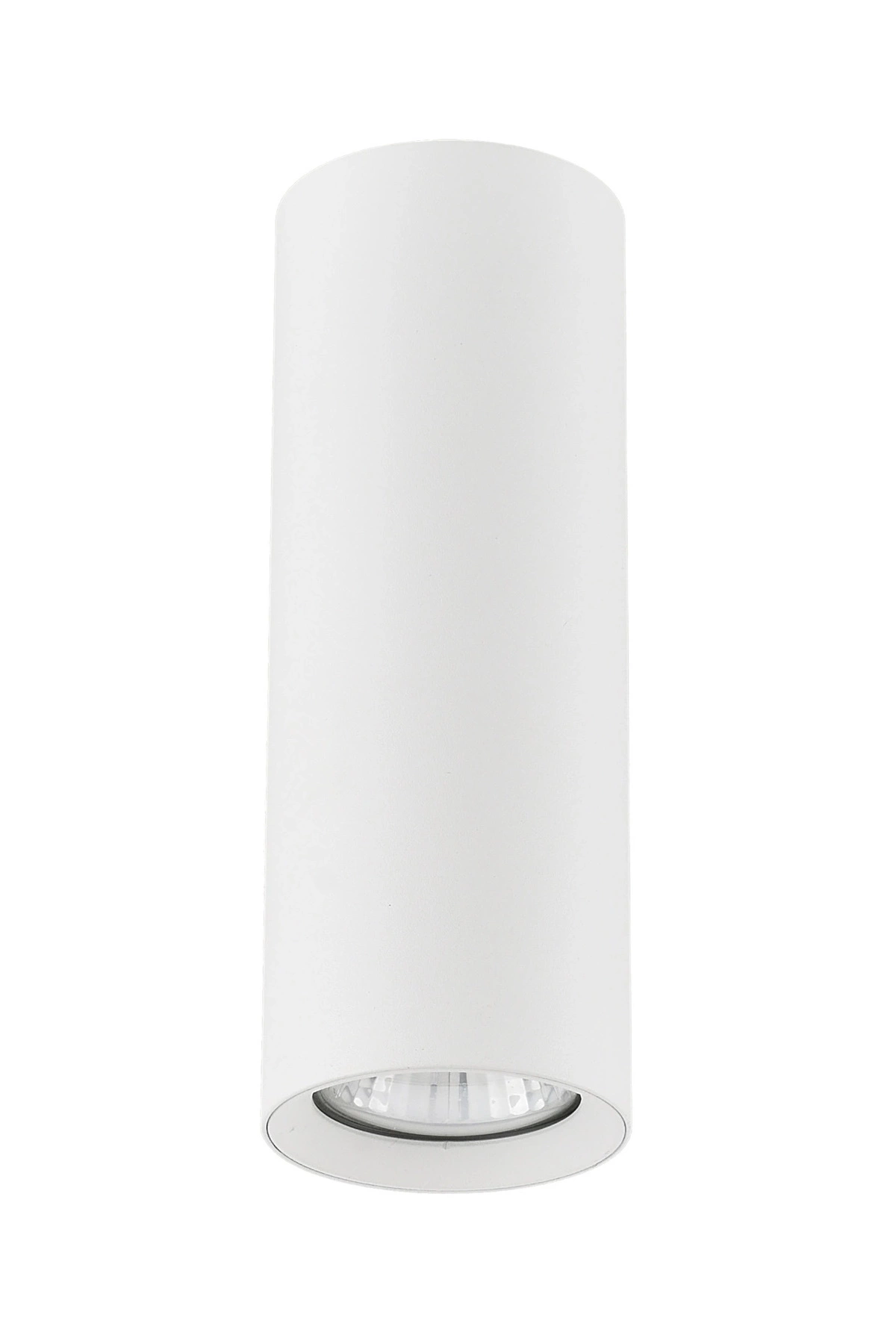 Точечный светильник ALFA 59024 ARTEMIS (25913825)