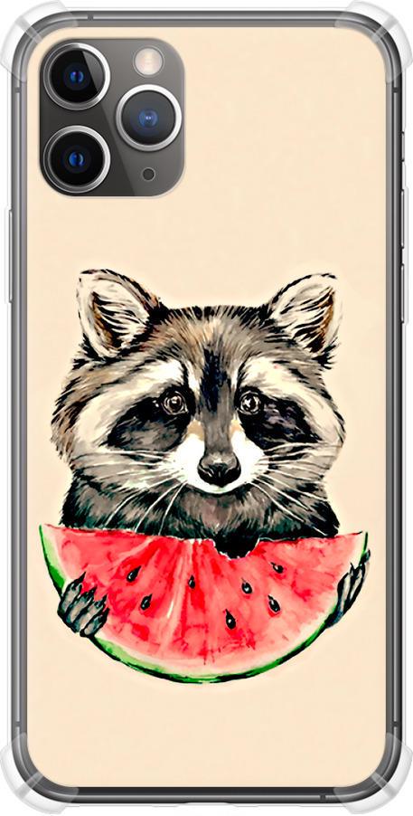 Чехол на iPhone 11 Pro Max Енотик с арбузом (4605sp-1723-42517)