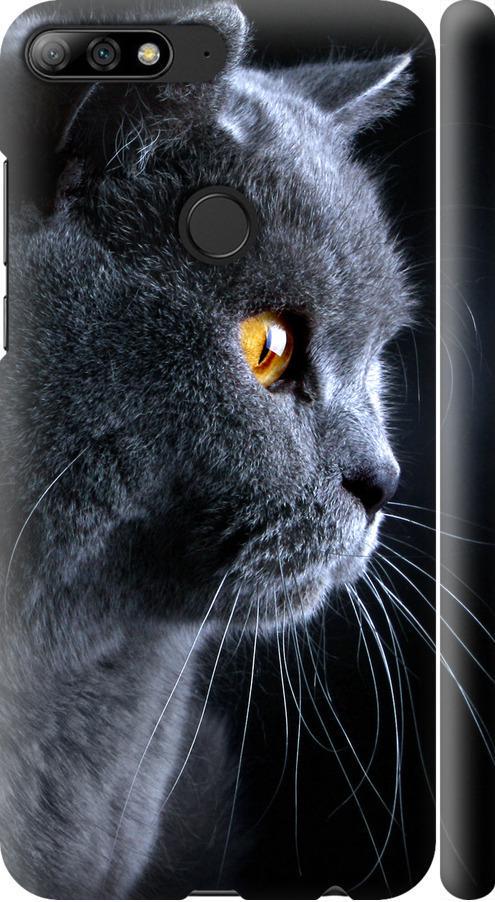 Чехол на Huawei Y7 Prime 2018 Красивый кот (3038m-1509-42517)