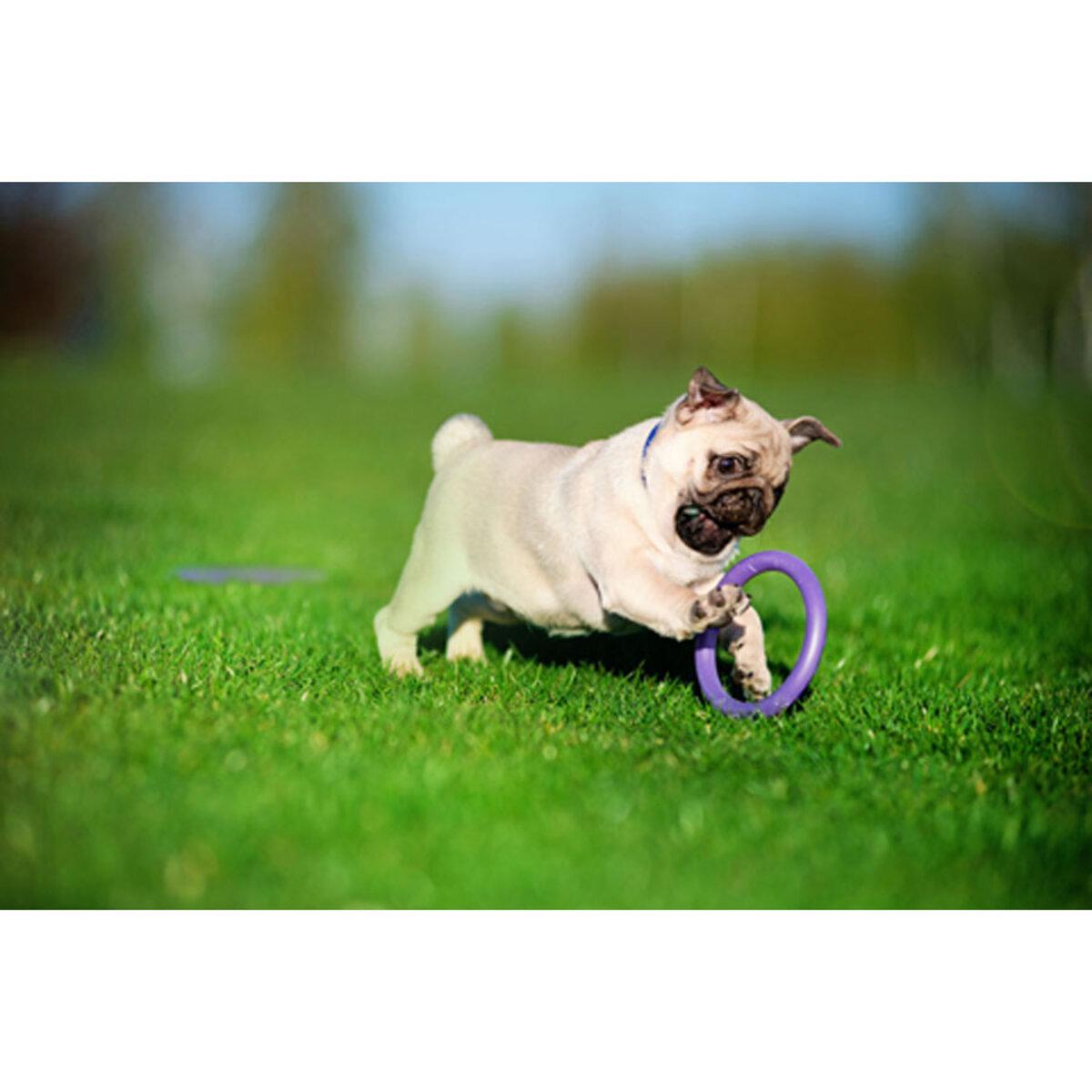 Тренувальний снаряд для собак PULLER Micro D 12,5 см (25881217) - фото 7 Тренувальний снаряд для собак PULLER Micro D 12,5 см (25881217) - фото 7