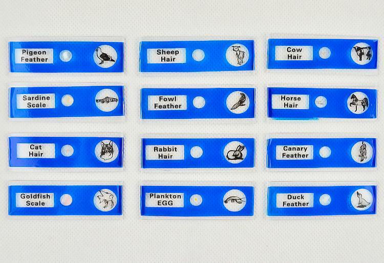 Набор микропрепаратов Sigeta Entrance насекомых/растение/животных 36 шт. (24116) - фото 3