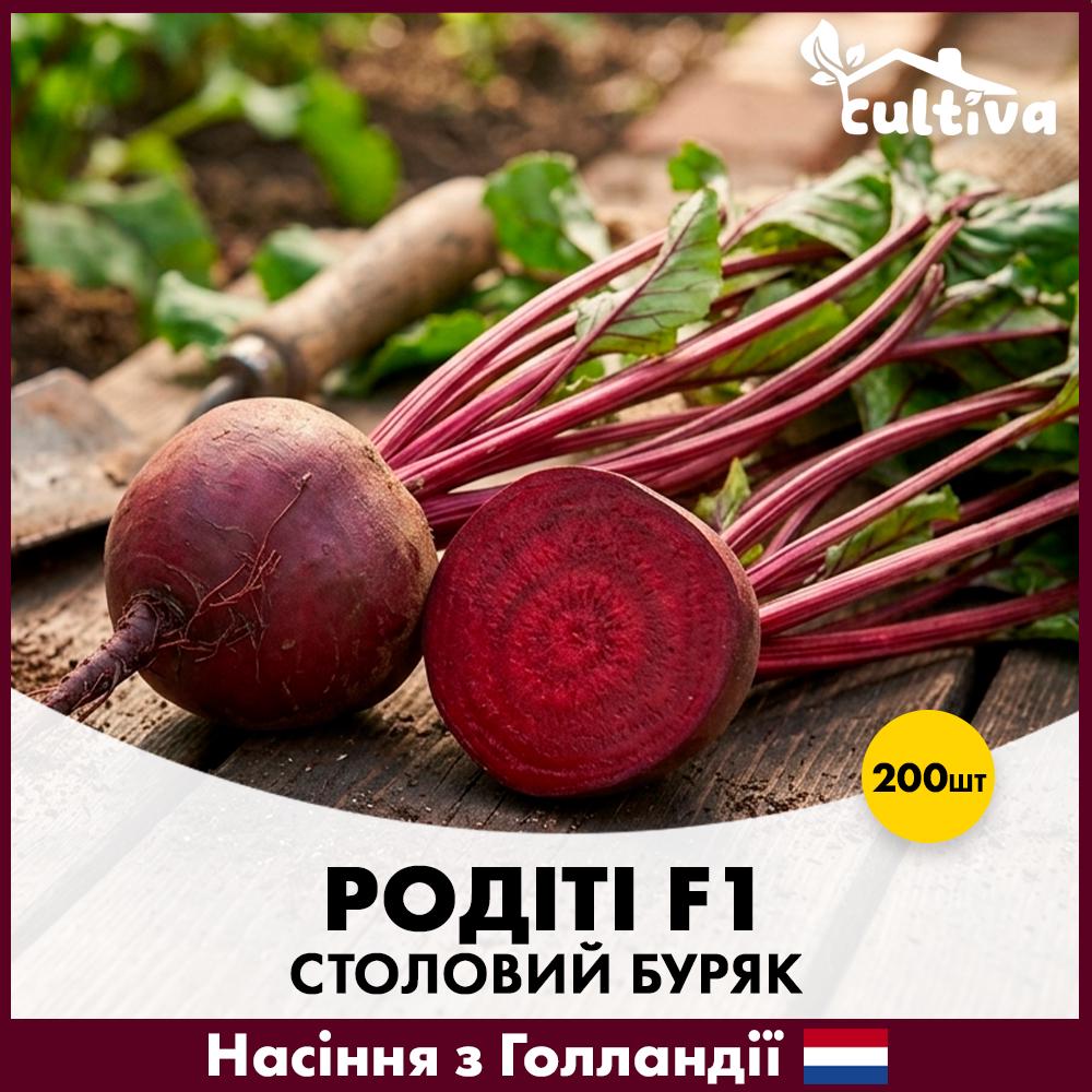 Насіння буряку Rijk Zwaan Столовий Родіті F1 200 шт. (R51212)