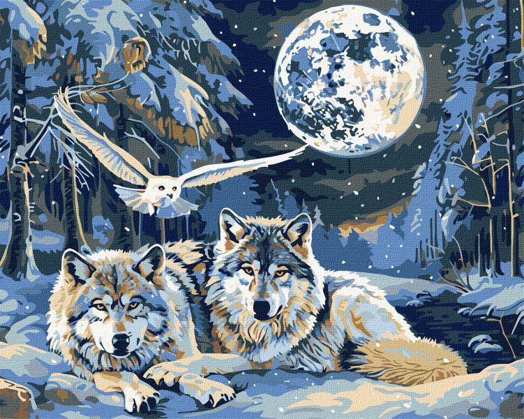 Картина за номерами Ideyka Хижаки та мудрість з фарбами металік 40x50 см (Id-KHO6848)