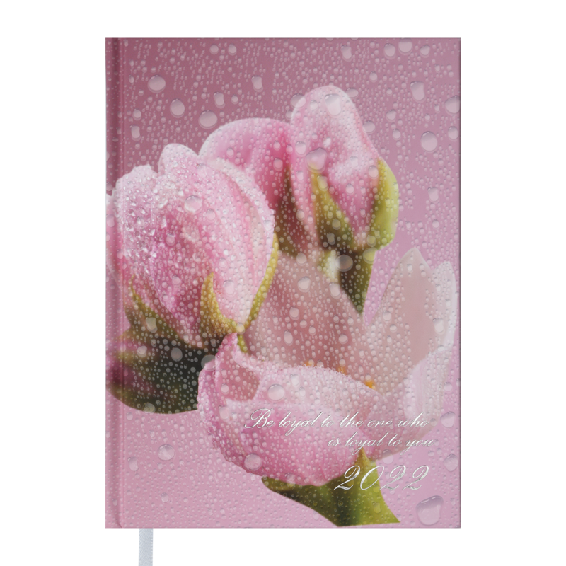 Дневник датированный Buromax Posh A5 336 страниц Розовый (BM.2118-10)