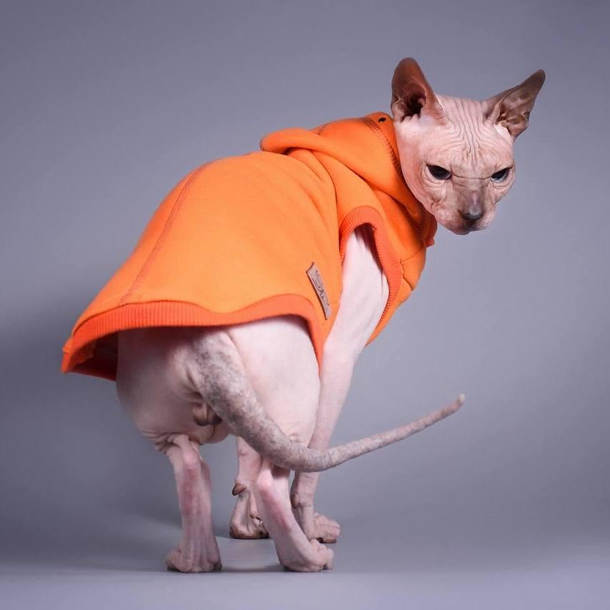 Майка спортивна для котів з капюшоном Style Pets Squash XL Orange (485XL) - фото 3