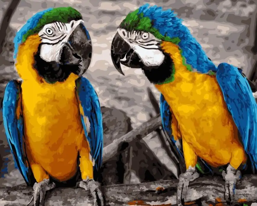 Картина по номерам Brushme Парочка попугаев 40x50 см (BRM22033) Картина по номерам Brushme Парочка попугаев 40x50 см (BRM22033)