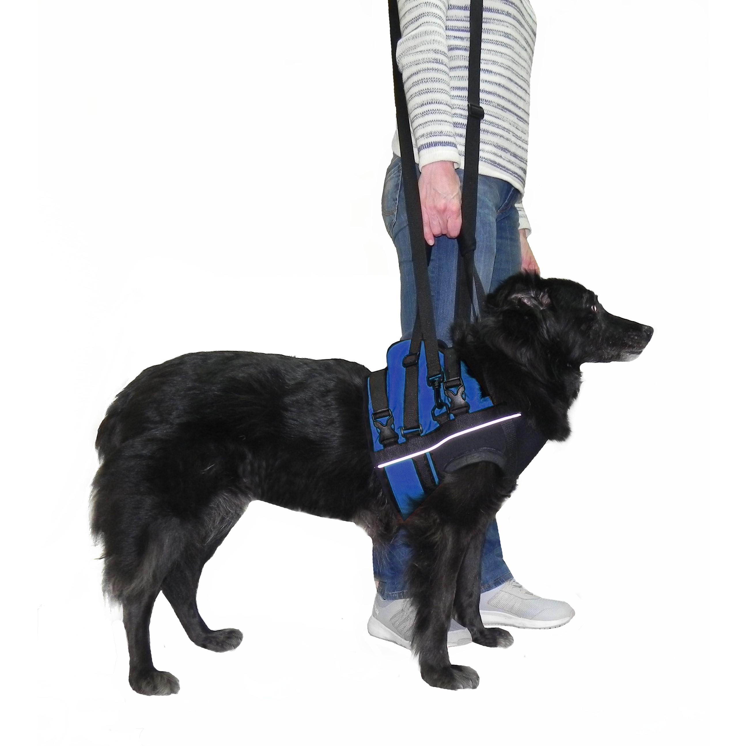 Поддержка передняя Frakishtak для животных XS Синий/Черный (28449146) - фото 2 Поддержка передняя Frakishtak для животных XS Синий/Черный (28449146) - фото 2