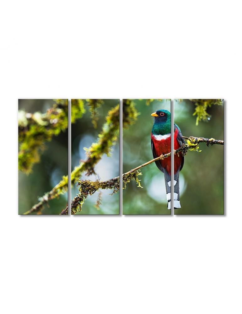 Картина модульная Певчие воробьиные 4 модуля 80x120 см