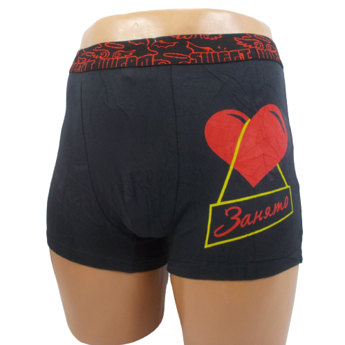 Трусы боксеры Redoor 3253 XXL Синий