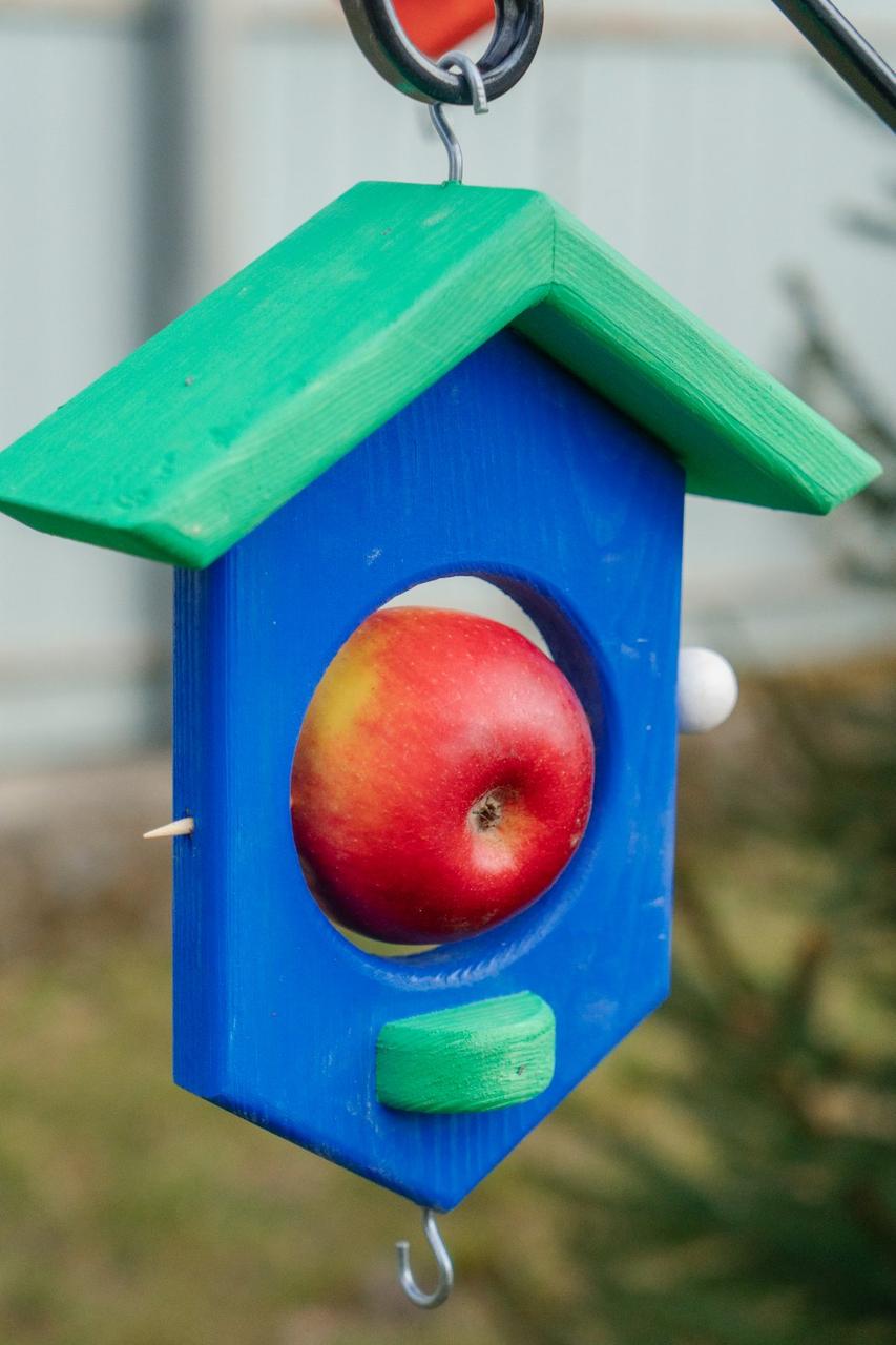 Кормушка для птиц Экзотик из древесины 250х160х70 мм 90 мм Сапфировый Кормушка для птиц Экзотик из древесины 250х160х70 мм 90 мм Сапфировый