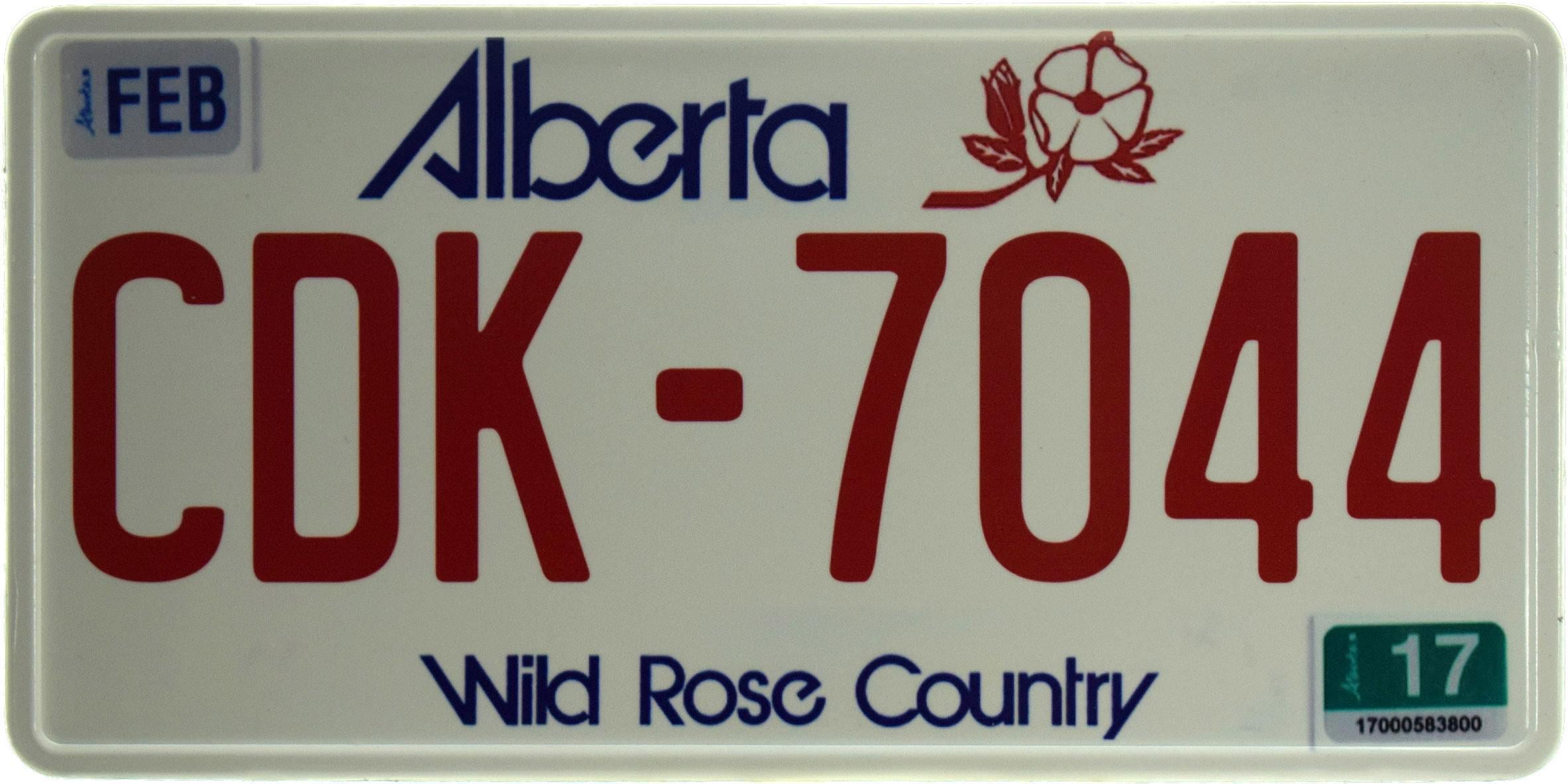 Табличка металлическая "Alberta CDK-7044" 15x30 см (ms-103716)