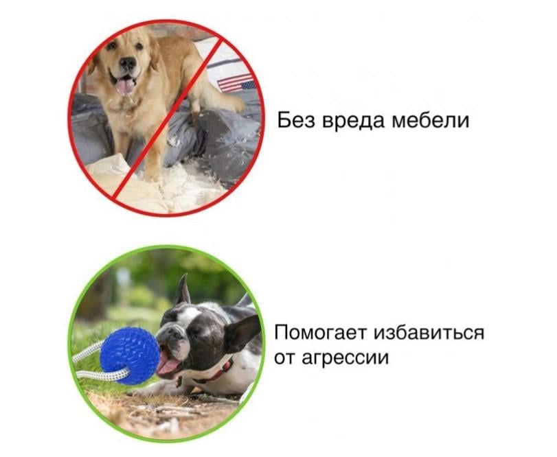 Игрушка для собак канат на присоске с мячом WM-60 - фото 3 Игрушка для собак канат на присоске с мячом WM-60 - фото 3