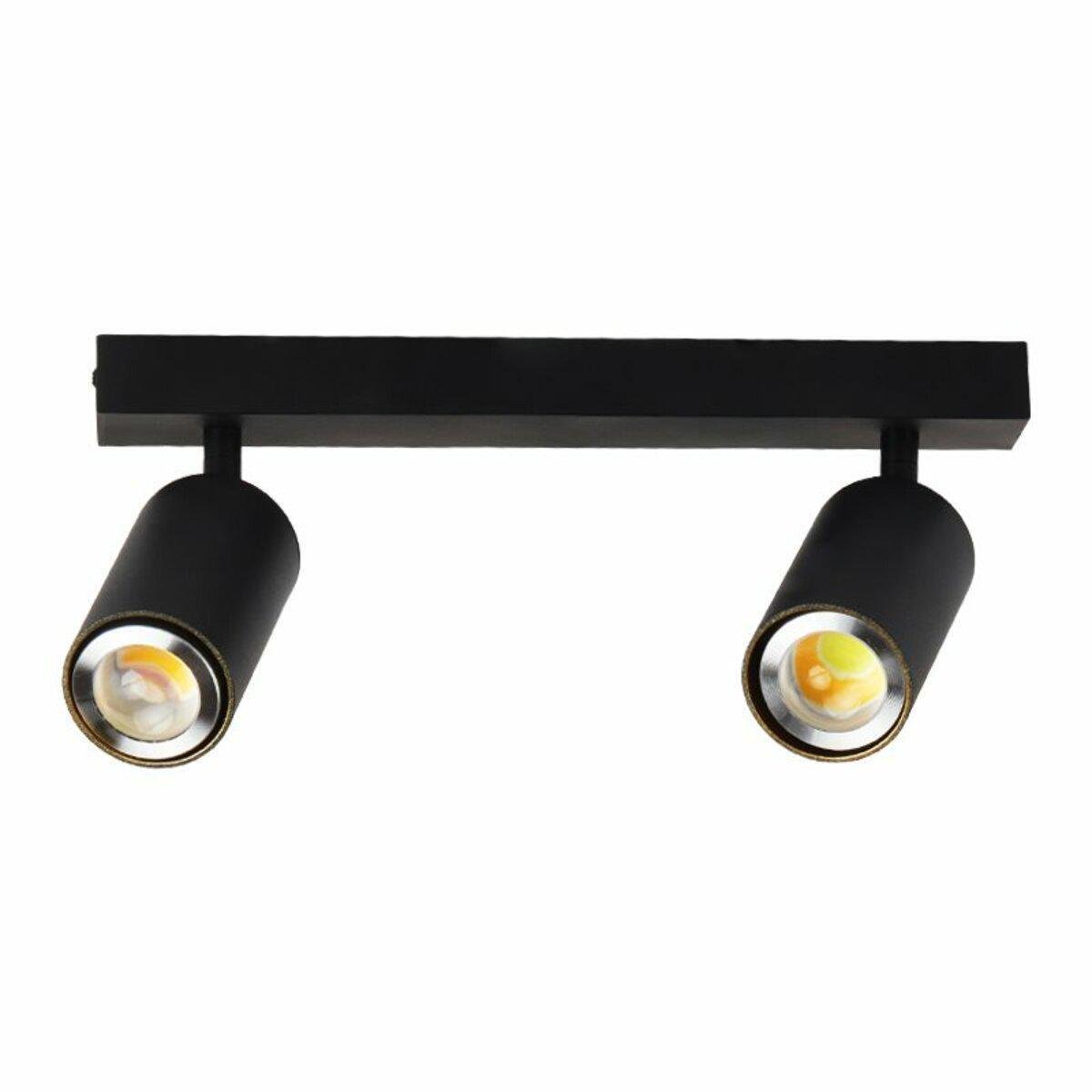 Світильник спот стельовий Light House SRS-20039/2 BK з поворотним механізмом Чорний