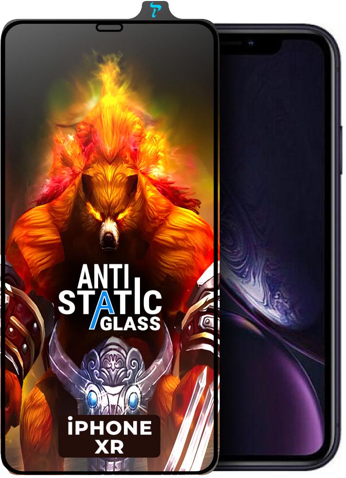 Стекло защитное ESD Antistatic iPhone XR (34147)