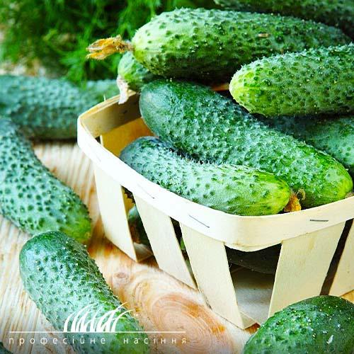 Семена Огірок Florium Кімнатний F1 (11807)