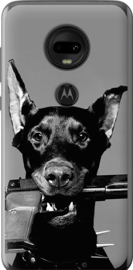 Чехол на Motorola Moto G7 Доберман (2745u-1614-42517)