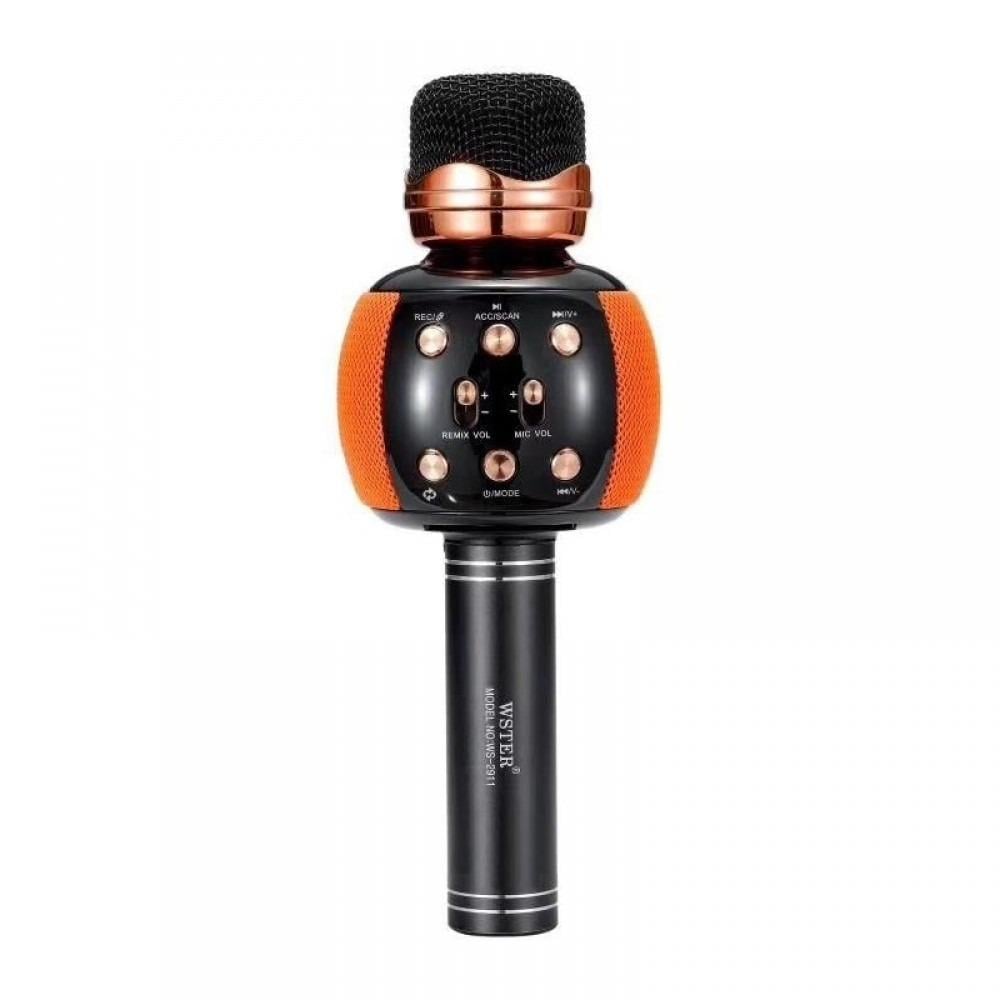 Караоке-микрофон Wster Karaoke WS-2911 с колонкой и FM-радио Bluetooth Черный