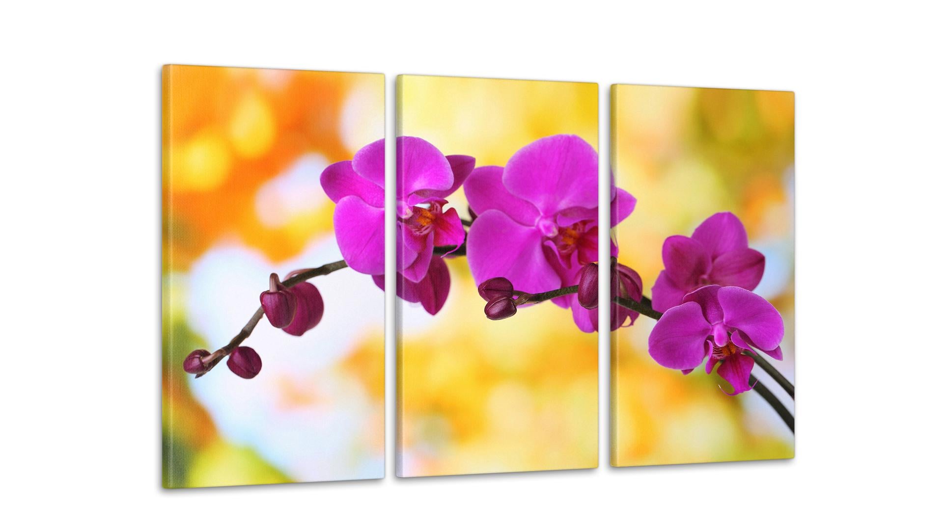 Модульная картина Цветы Орхидея 53x100 см (Art-136_3А)