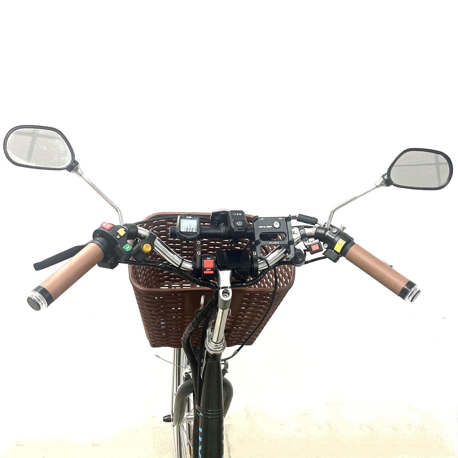 Електровелосипед триколісний Tiras JOB DD PRO-1000 LiFePO4 36V 45Ah - фото 5 Електровелосипед триколісний Tiras JOB DD PRO-1000 LiFePO4 36V 45Ah - фото 5