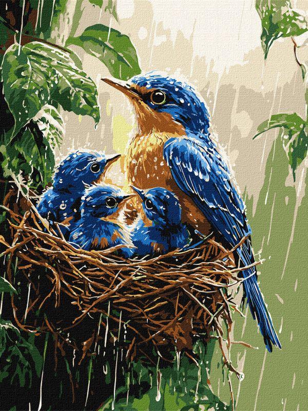 Картина по номерам Ideyka Весенний дождь 30х40 см (2824290074)