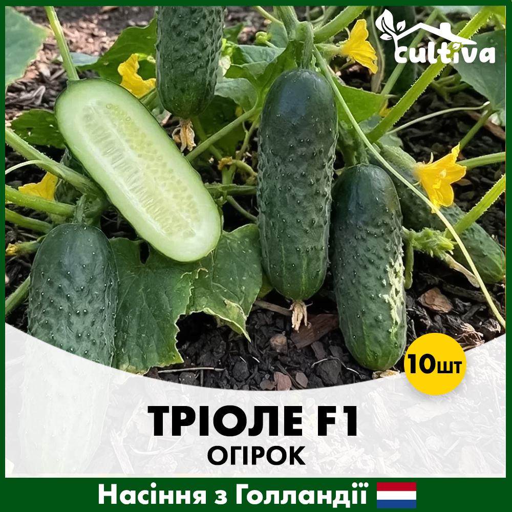 Насіння огірка Rijk Zwaan Тріоле F1 10 шт. (R51181)