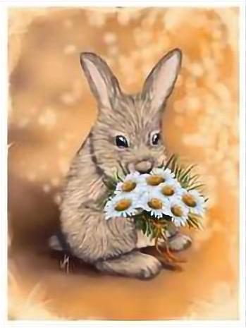 Картина по номерам Josef Otten Животные Кролик 30х40 см в термопакете (1637EKTL_O-mt)
