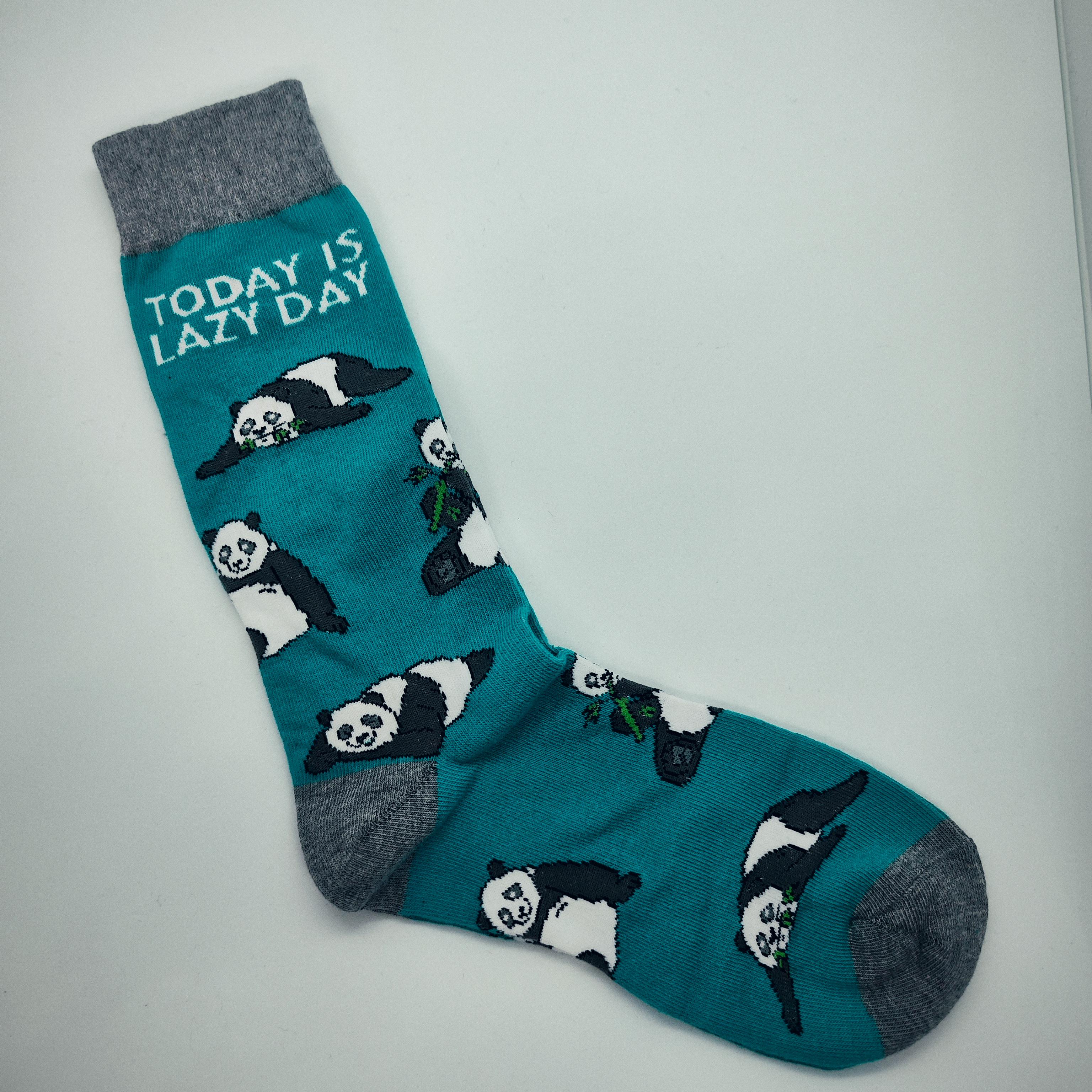 Носки унисекс Коала Today is lazy day one size р. 35-45 Голубой (24389499)
