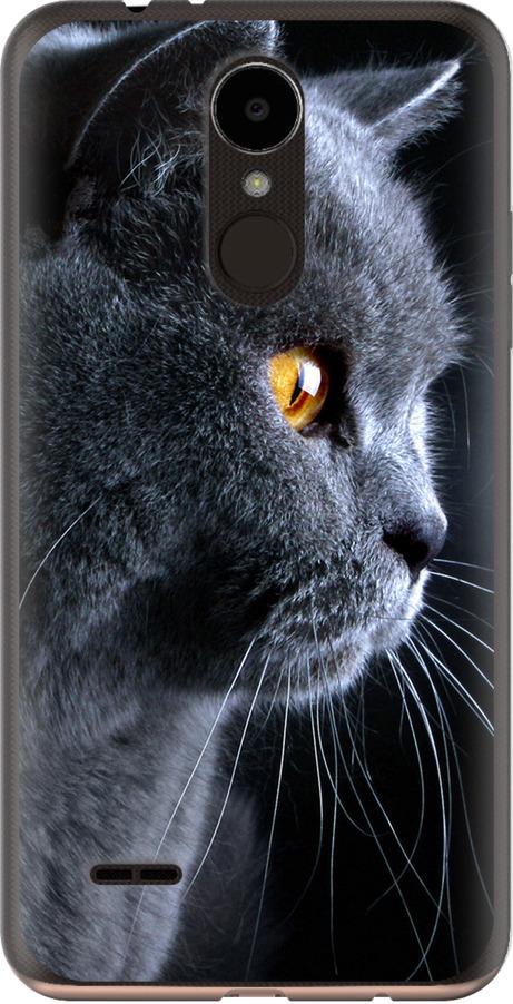 Чехол на LG K7 2017 X230 Красивый кот (3038u-1469-42517)