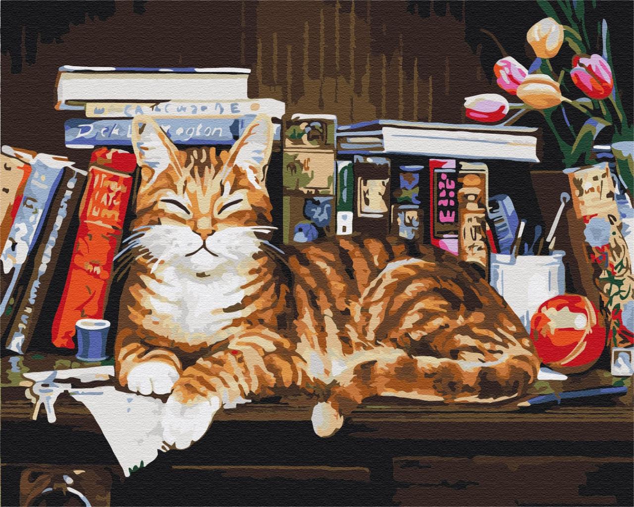 Картина по номерам Brushme Кот на книжной полке 40х50 см (BS4142)
