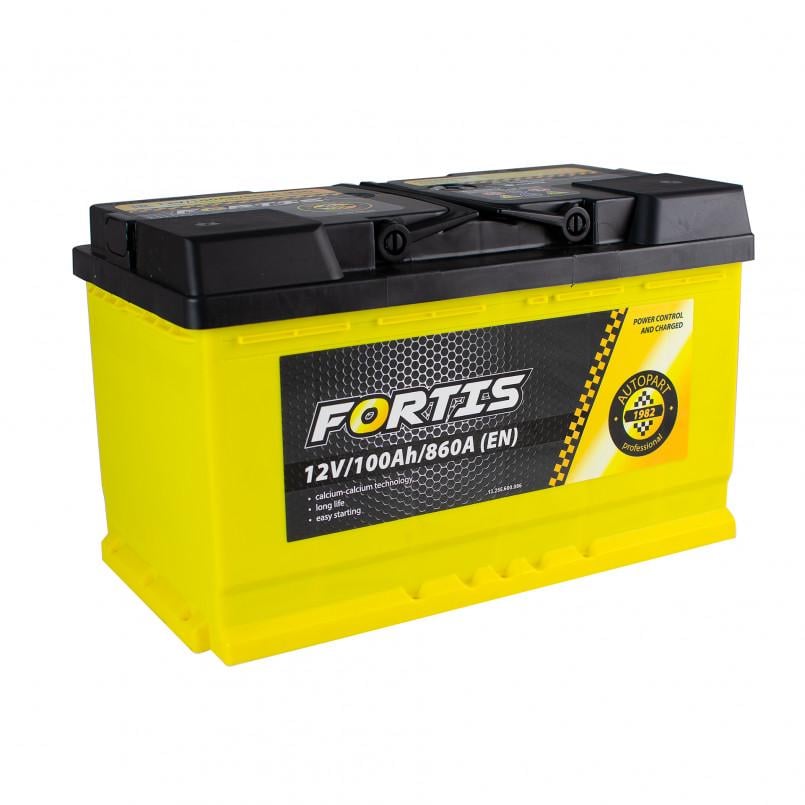 Аккумулятор Fortis Euro L4 короткий FRT100-L4-00 100Ah 12V